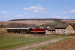10. April 1988. BR 110 [DR]. Sankt Egidien. Salsitz. Sachsen / Dieser Personenzug hatte den Bahnhof Sankt Egidien soeben in Richtung Oelsnitz verlassen.