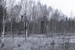 17. März 2007. Einsatzstelle Werdau. Werdau. Leubnitz. Sachsen / ''HALT FÜR FEUERLOK'': von der ehemaligen Bekohlung ist kaum noch etwas erkennbar.