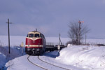 Eisenbahngüterverkehr im Thüringer Oberland