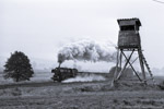 Plandampfveranstaltung 